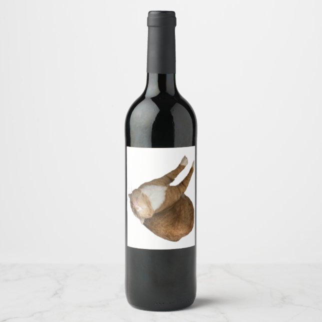 Upside-Down Sunshine Cat Wine Label (Front)