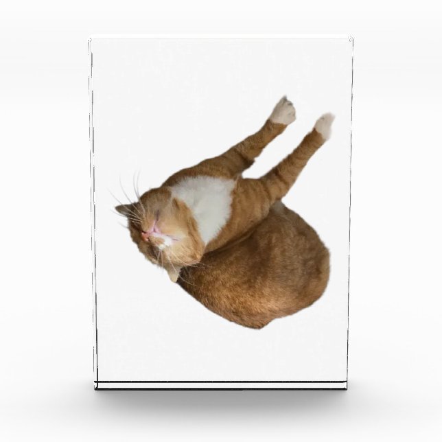 Upside-Down Sunshine Photo Block (Front)