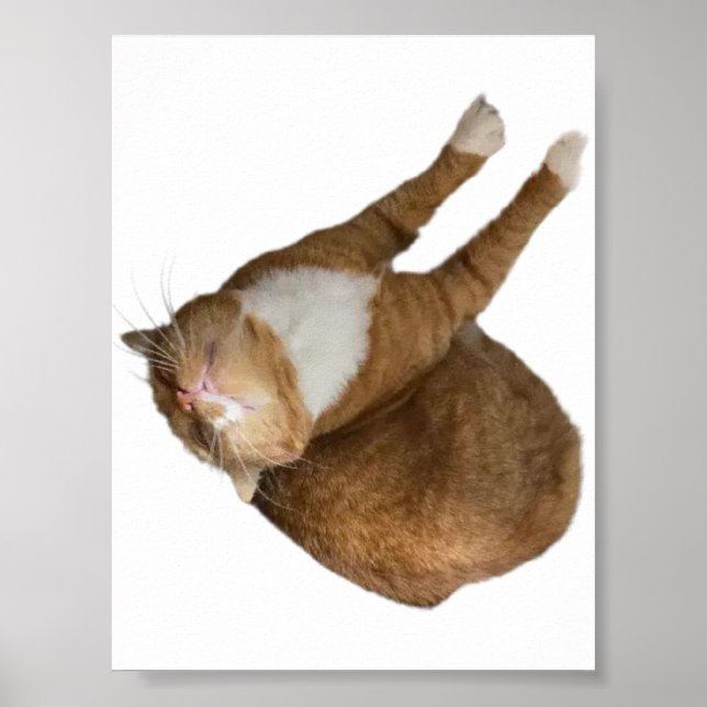 Upside-Down Sunshine Poster (Front)