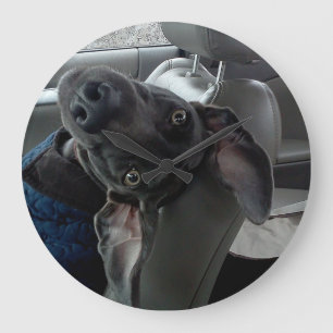 Upside-down Weimaraner Wall Clock