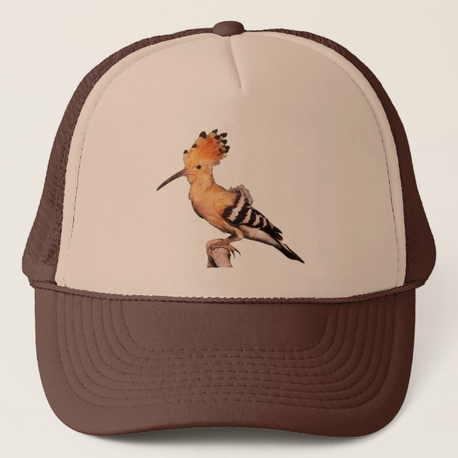 Upupa epops epops trucker hat (Front)