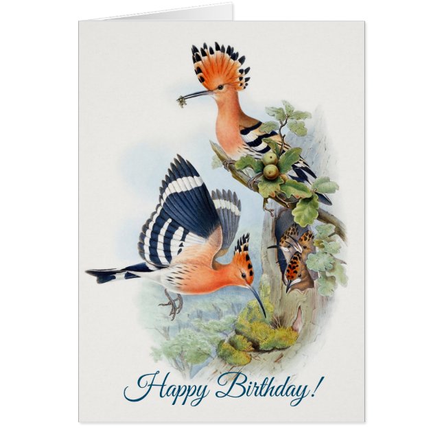 Upupa Epops  Happy Birthday (Front)