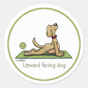 Upward Facing Dog - yoga pose Classic Round Sticker