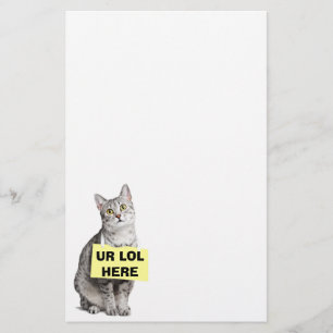 UR LOL HERE