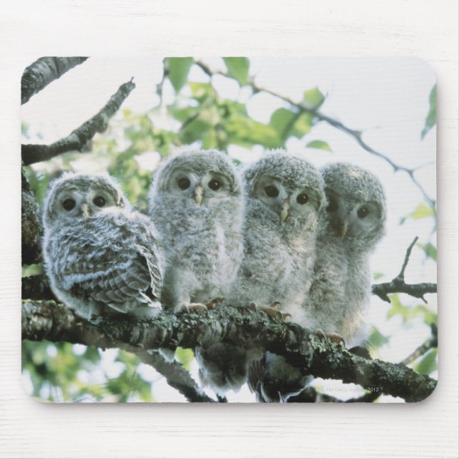 Ural owetsl. Ikeda-machi, Hokkaido, Japan Mouse Pad (Front)