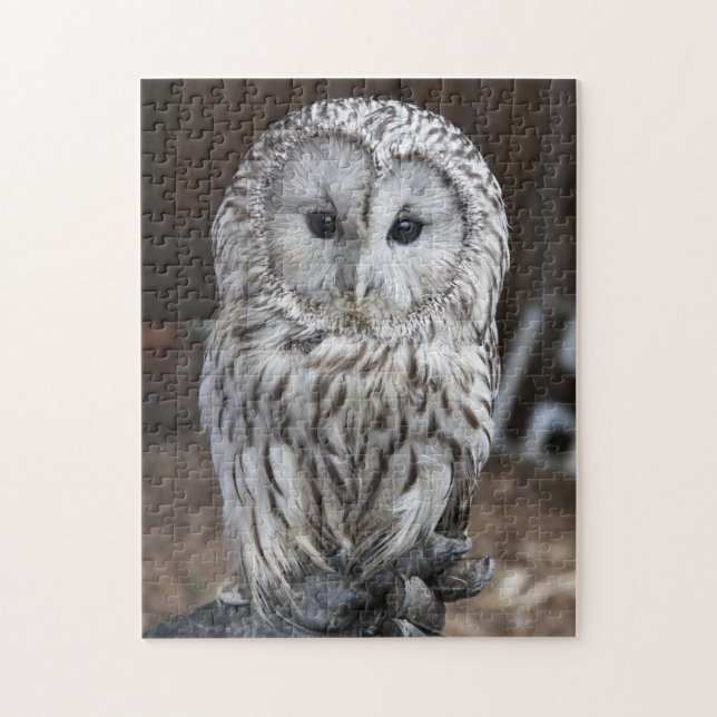 Ural Owl Jigsaw Puzzle (Vertical)