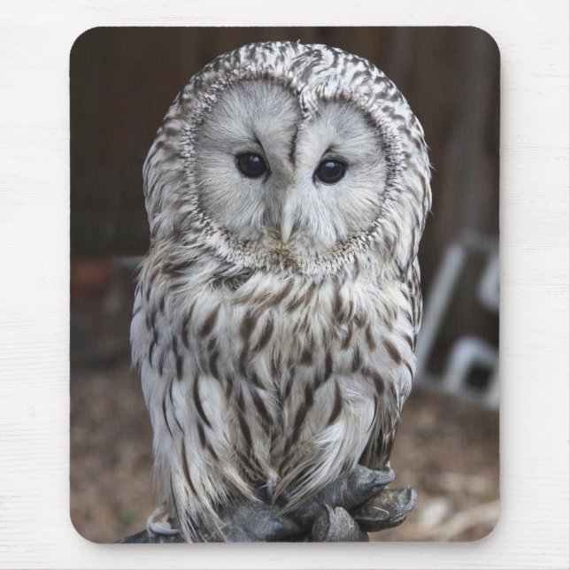 Ural Owl Mouse Pad (Front)