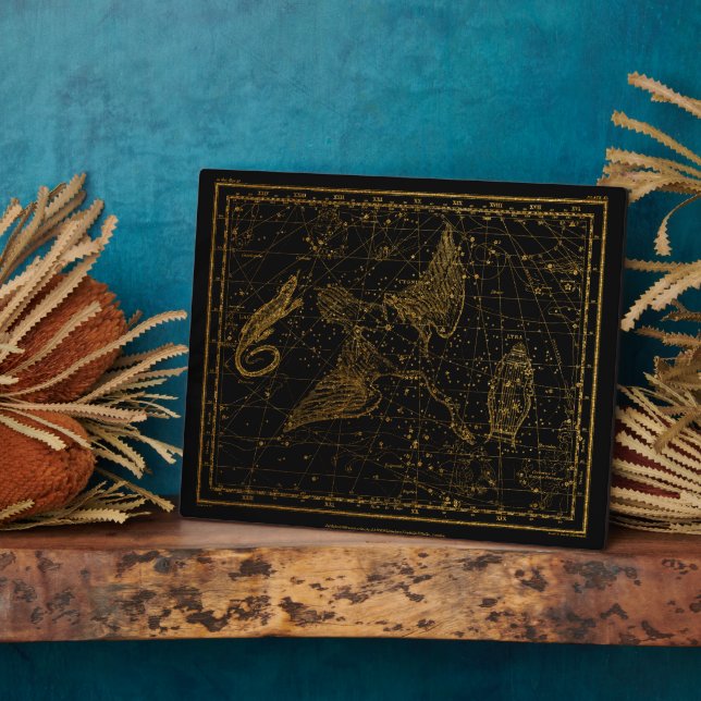Urania's Mirror Celestial Map Gold and Black  Plaque (Side)