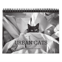 Urban Cats Black and White Photography