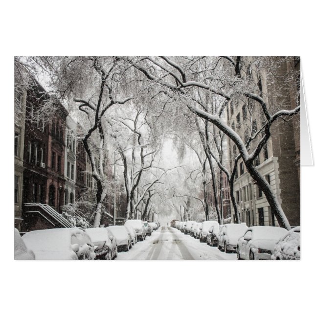 Urban Christmas Snow in Brooklyn NY (Front Horizontal)