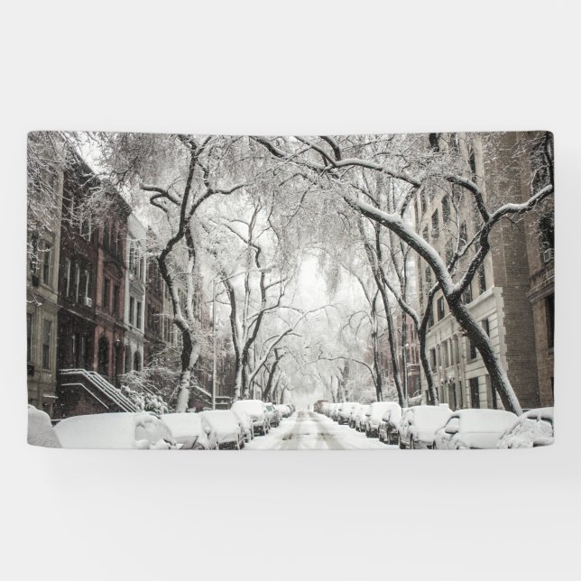 Urban Christmas Snow in Brooklyn NY Banner (Horizontal)