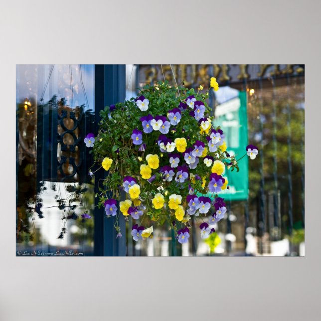 Urban Colourful Basket Viola Sorbet Pansies Poster (Front)