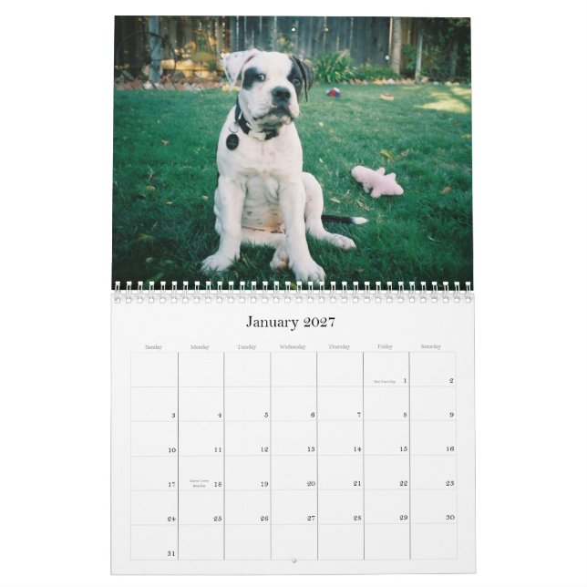 Urban Doo Crash Calendar (Jan 2027)