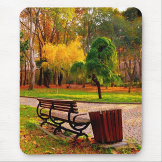 Urban Fall   (HDR) Mouse Pad