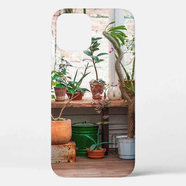 Urban jungle. Winter garden with plants, flowers.  Case-Mate iPhone Case (Back)