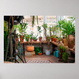 Urban jungle. Winter garden with plants, flowers. Poster
