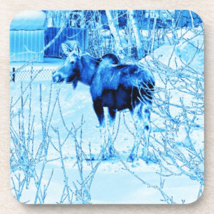 Urban Moose Coaster