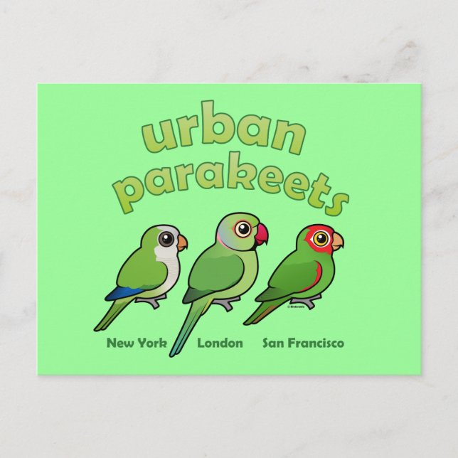 Urban Parakeets Postcard (Front)