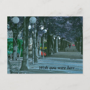 Urban Solitude Postcard