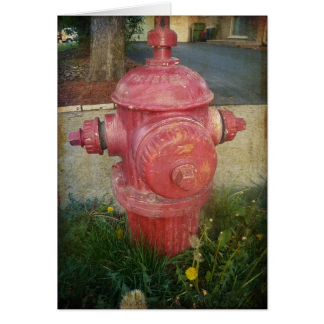 Urban Treated Fire Hydrant Card (Front)