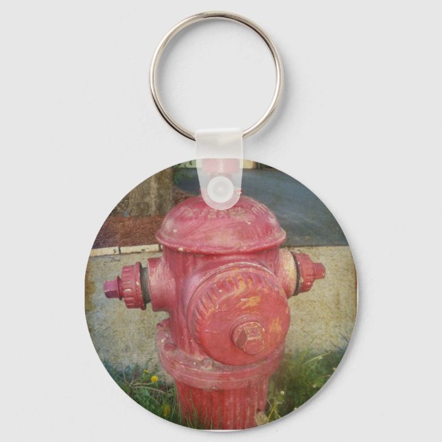 Urban Treated Fire Hydrant Keychain. Key Ring (Front)