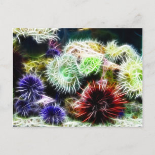 Urchin Bed Postcard