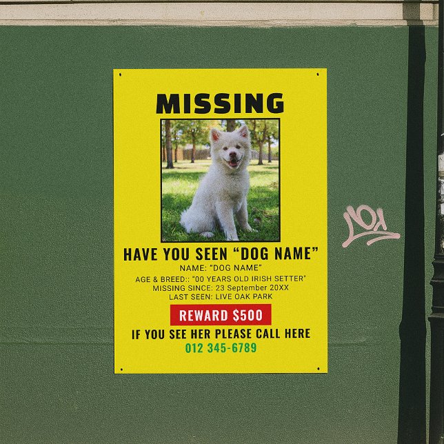 Urgent Missing Dog Pet Alert Template Poster (Creator Uploaded)