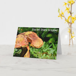 Urodziny - Funny Polish birthday card 