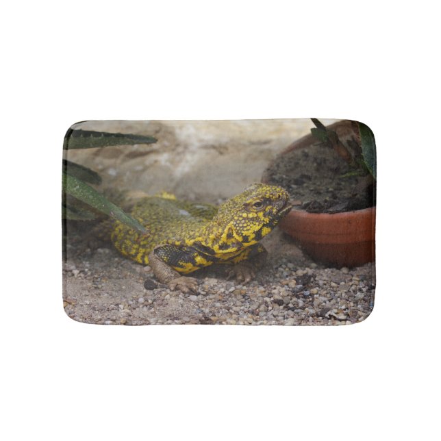 Uromastyx geyri bath mat (Front)