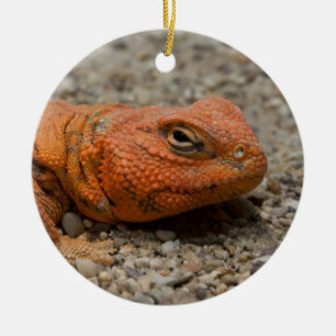 Uromastyx geyri ceramic tree decoration