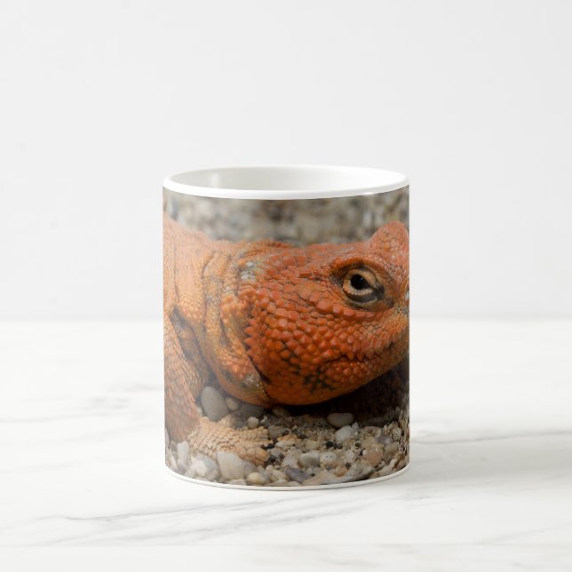 Uromastyx geyri coffee mug (Center)