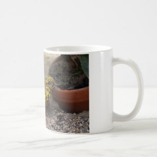 Uromastyx geyri coffee mug