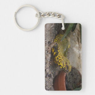 Uromastyx geyri key ring