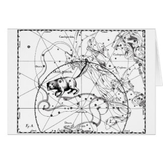 Ursa Minor