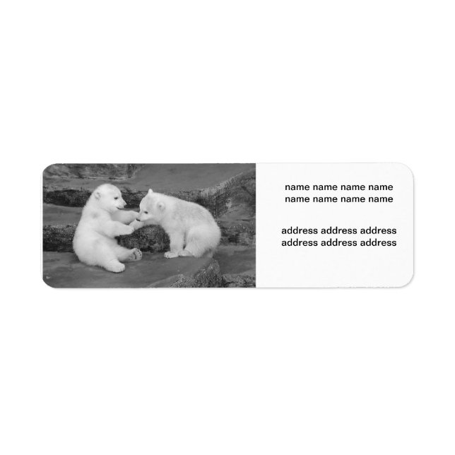 Ursus maritimus return address label (Front)