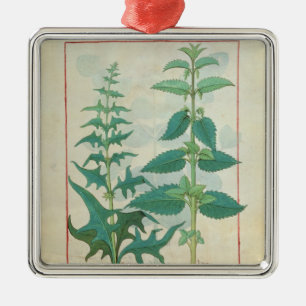Urticaceae Metal Ornament