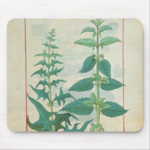 Urticaceae Mouse Pad