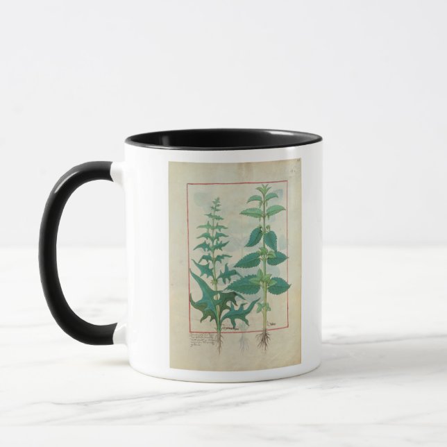 Urticaceae Mug (Left)