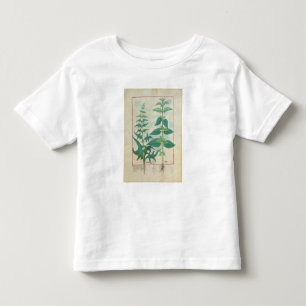Urticaceae Toddler T-Shirt