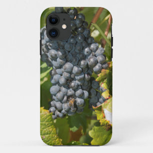 Uruguay, Montevideo, Colon Area. Bodegas iPhone 11 Case