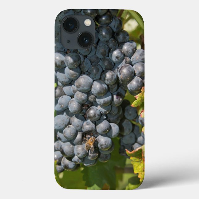 Uruguay, Montevideo, Colon Area. Bodegas Case-Mate iPhone Case (Back)