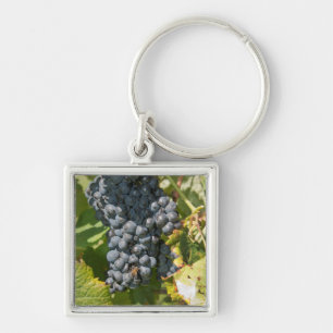 Uruguay, Montevideo, Colon Area. Bodegas Key Ring