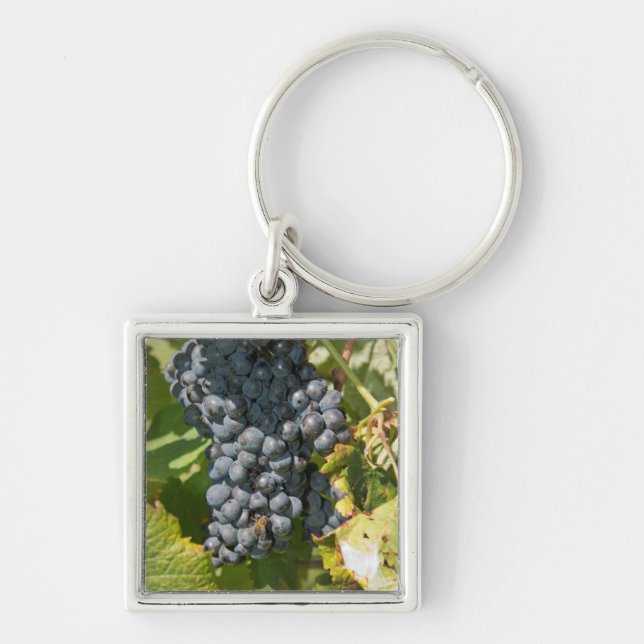 Uruguay, Montevideo, Colon Area. Bodegas Key Ring (Front)