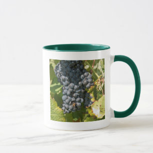 Uruguay, Montevideo, Colon Area. Bodegas Mug