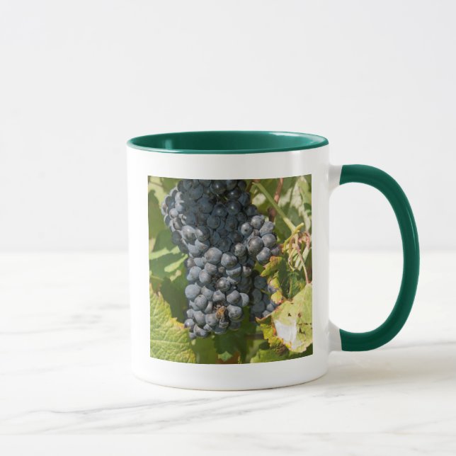 Uruguay, Montevideo, Colon Area. Bodegas Mug (Right)