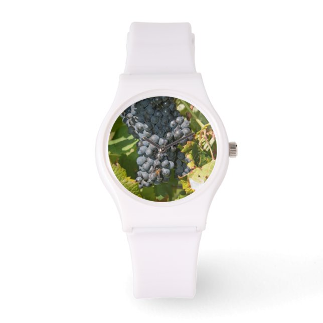 Uruguay, Montevideo, Colon Area. Bodegas Watch (Front)
