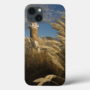 Uruguay, Montevideo Department, Montevideo. 2 iPhone 13 Case