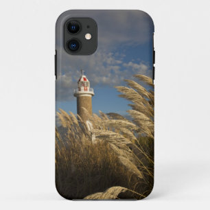 Uruguay, Montevideo Department, Montevideo. 2 iPhone 11 Case