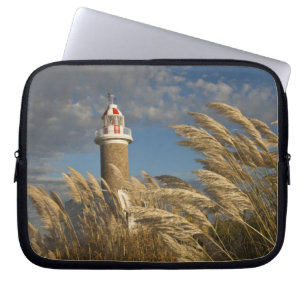 Uruguay, Montevideo Department, Montevideo. 2 Laptop Sleeve