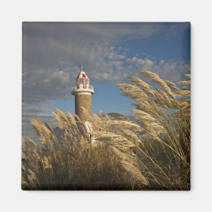 Uruguay, Montevideo Department, Montevideo. 2 Magnet